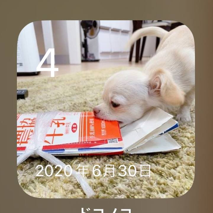 63454f43 8381 471c 9a23 3ed92feba13b 1688458064697