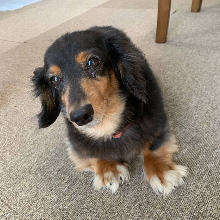 634582cb 9d6a 494b a44f 7686b6fbdc06 1568151373687