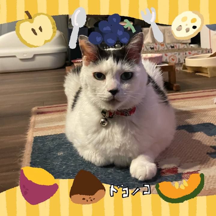 63458ba2 6a70 43dd b0ef 53dee92d0ff6 1727095695440