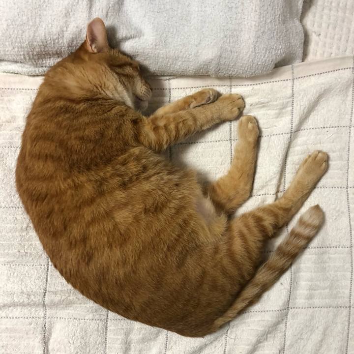 6345a7e9 4063 48ae 9703 f59e3dfa3312 1594047993656