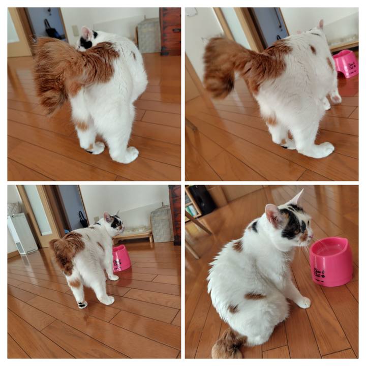 6345ced1 444b 4298 945e c463b76bde92 1727837184348