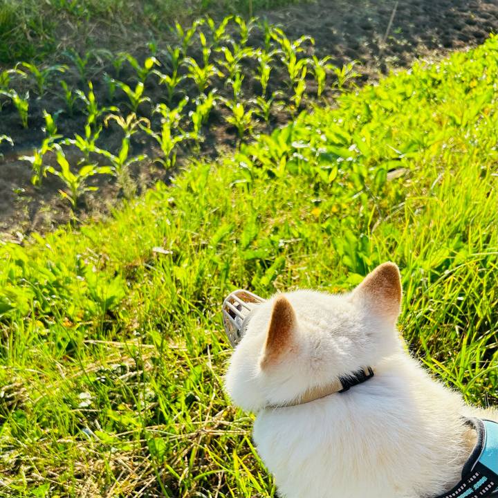 6345e837 1039 4b2f 9956 38cb39e5075d 1687208267025