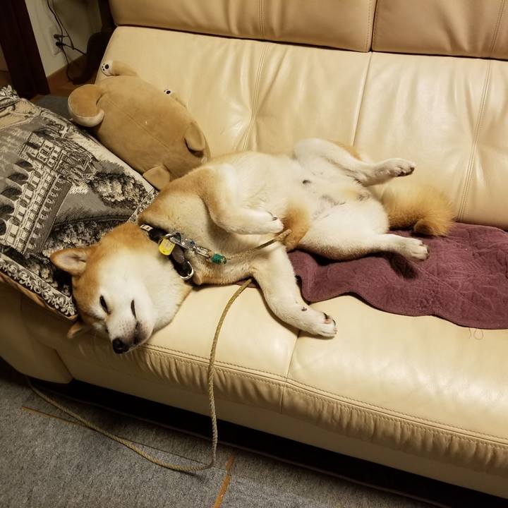 63462c94 d21a 4c67 9d25 c9950e9be49a 1591876738599