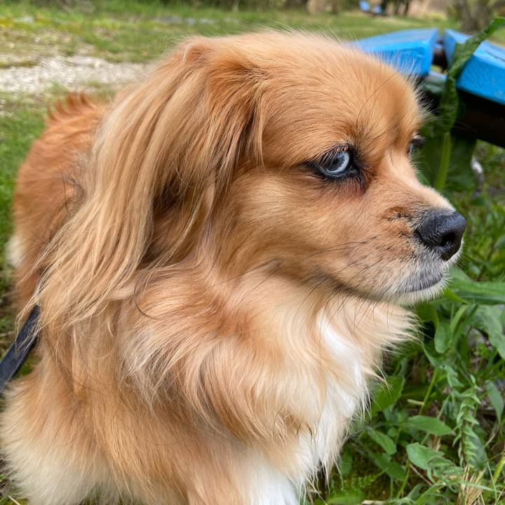 634668ee 627c 45a8 910e 3cee8c404a3d 1587075406147