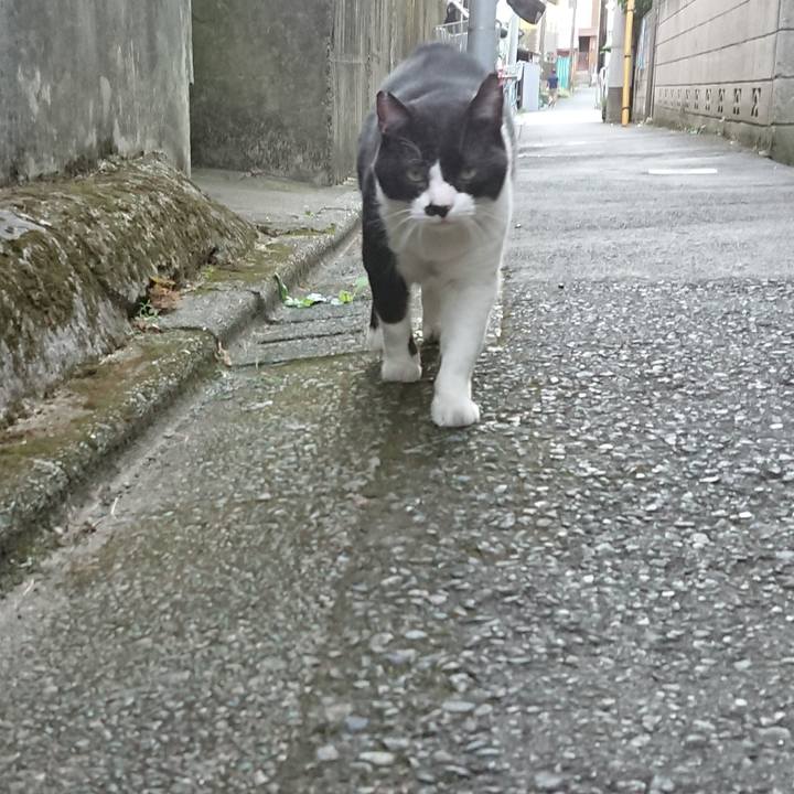 6346adaa 27e2 475f aa14 60c5717d4e09 1663317130554