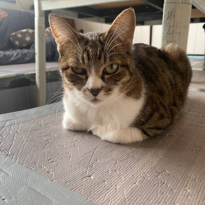 6346c9e1 2d2f 4e7e a7be 078634c55a2b 1651801305460