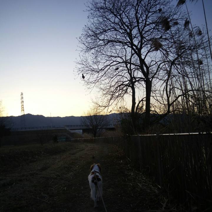 63471609 584a 4856 b264 a5cfe6149d64 1517876586613