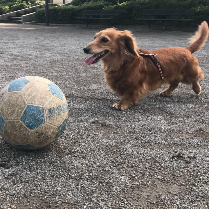 63473ced 1bcf 4bea a62a f11a3c6792a4 1772576714873