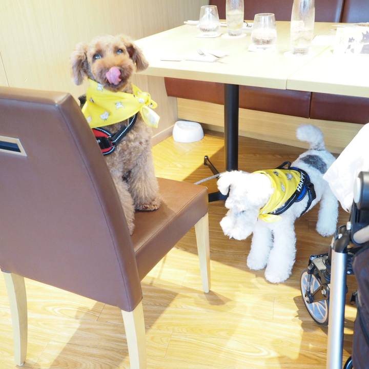 63477089 cfc7 4fed a71a 5e40c17ab89b 1539341639807