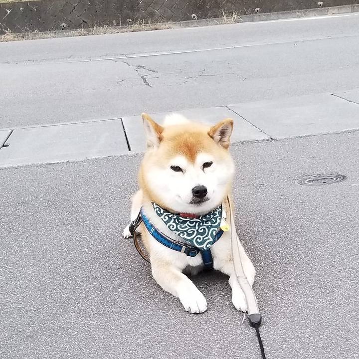 6347743a b330 46ce a431 8eb3ee6b037a 1543387315197