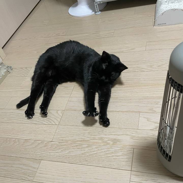 6347d506 97e8 42d4 bd0d 435873c5b102 1765280716314