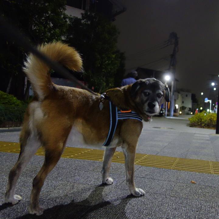 6347ebf3 133d 42b3 bb58 fc033c643ed8 1653266589283