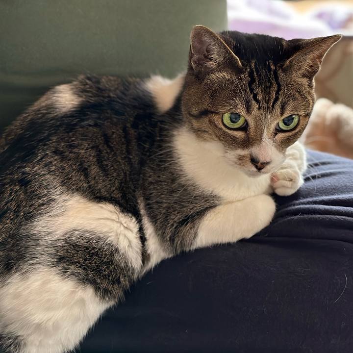 63483220 6dc2 44ed 9a0d 58243cbb1f59 1666920341224