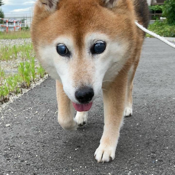 63487361 5ba0 4cc0 8e13 6d7885e4eb55 1719736776665