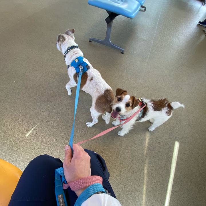 63487e17 28d8 4bde ba42 e391a5d36db6 1712981976775