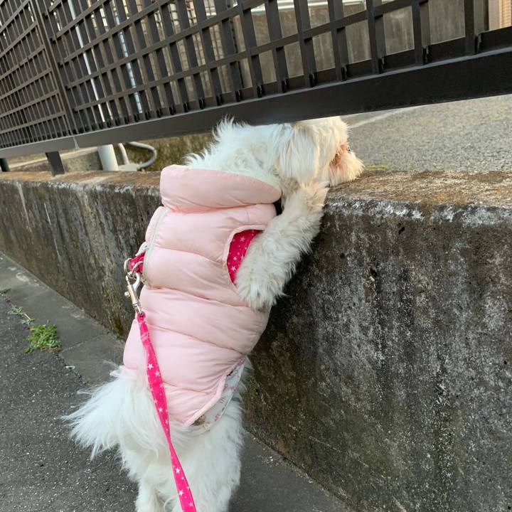 63488d54 15f9 4184 aab5 3ad8bd70d537 1675239694171