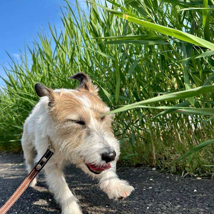 63489779 105f 475d a12e 57a997bb2167 1749302660678