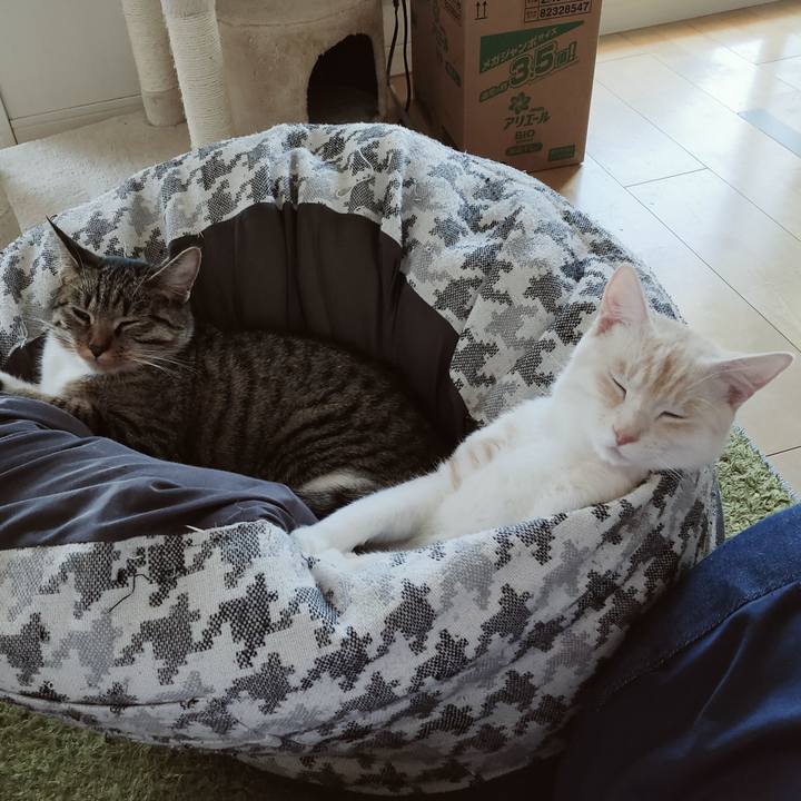 63489d7a ed5a 4be3 80ab fa6f7257f419 1640573883102