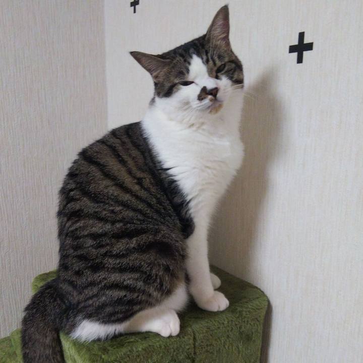 6348b681 d10c 4bcb 849d 5a12832b81eb 1630234430594