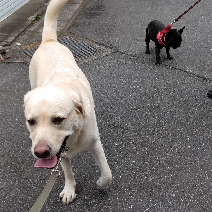 6348ec9a 5f33 4418 a336 c3d504ecda42 1598934310458