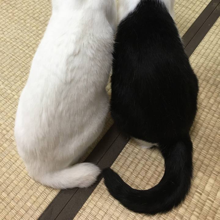 6348f3f9 ec2f 4537 80ec b57da1033053 1589935742509