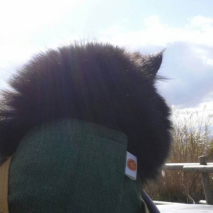 6348fa13 3523 49c4 8233 8963da3a21b5 1511001477894