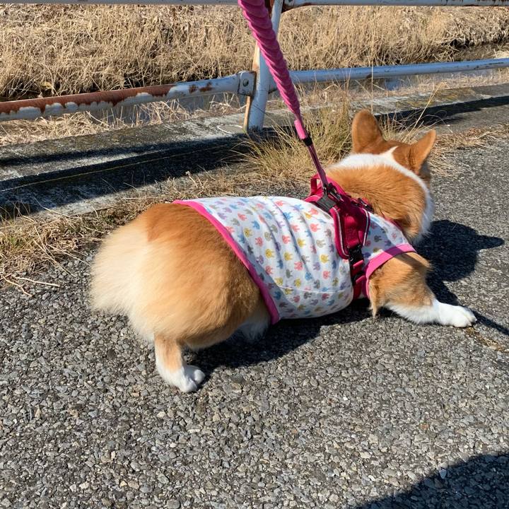 63491e57 230a 4270 a5a0 8c9c136de0c6 1644553348647