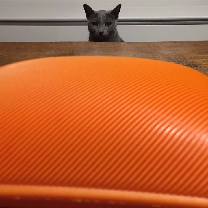 63494332 cd1c 4375 9ee3 5e4942089783 1545747306382