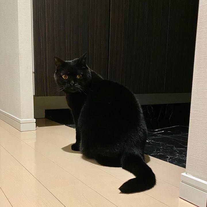 634959ab 3f91 41e0 a7d1 e3e3fdcc14cc 1732025087800