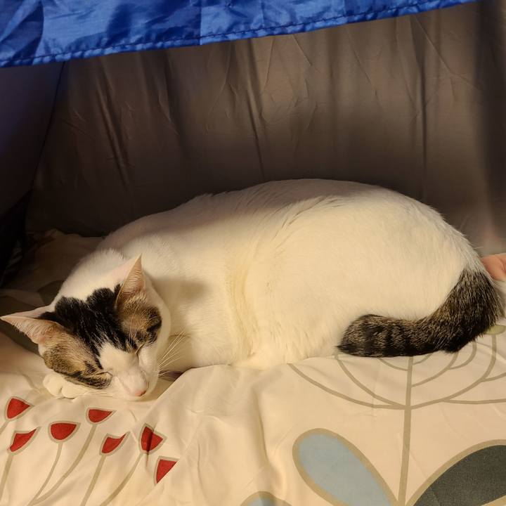 6349c43a 1495 4e81 99b5 24254cc80ff4 1673688305625