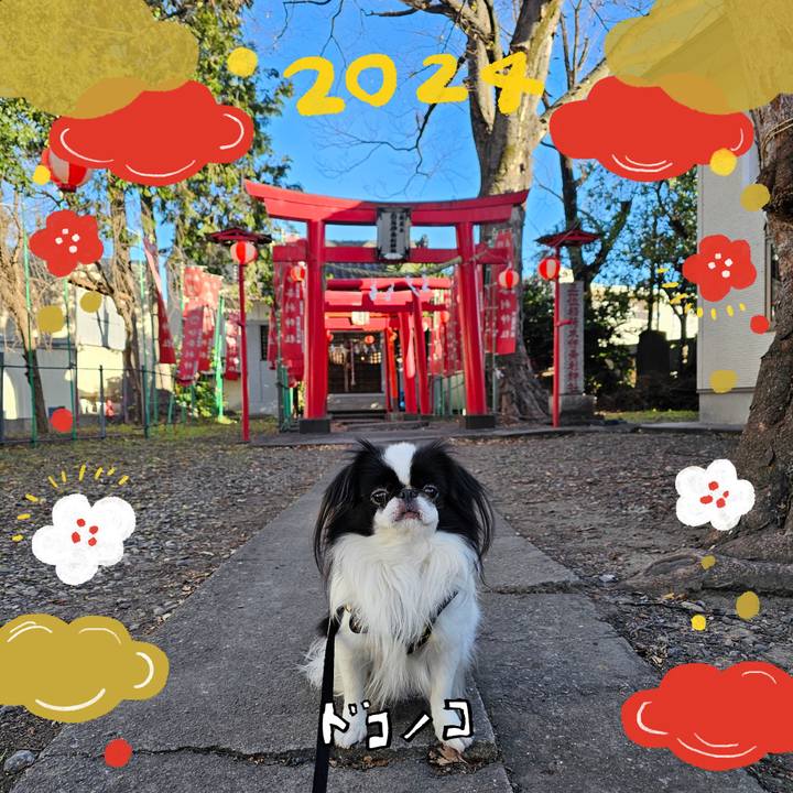 634a4c98 e082 41e0 bd95 4af7a3738546 1704075678455