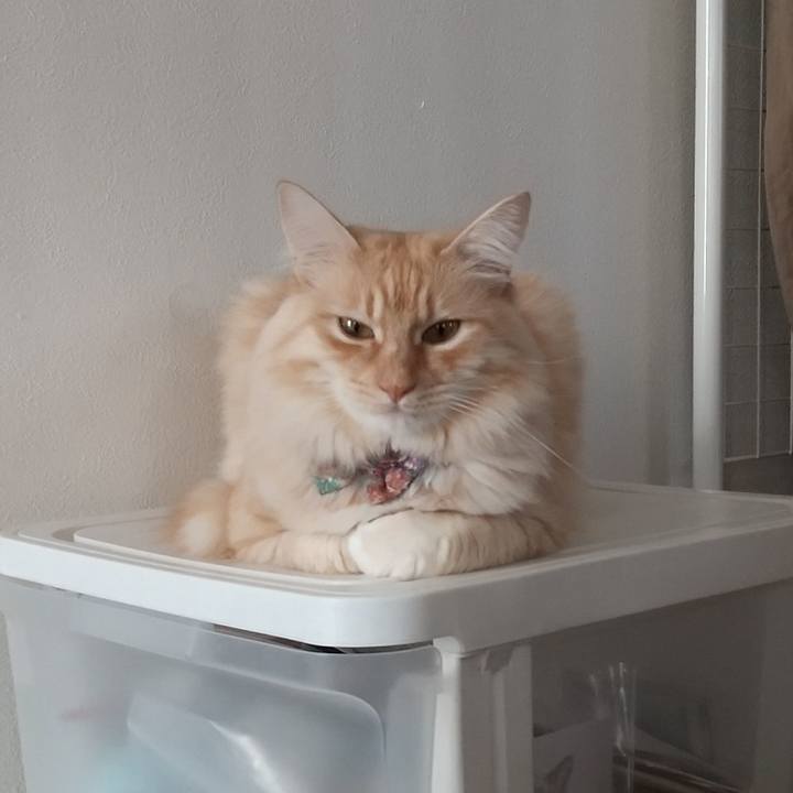 634ac4e1 e615 46e9 a389 f3e056c5c247 1643507664154