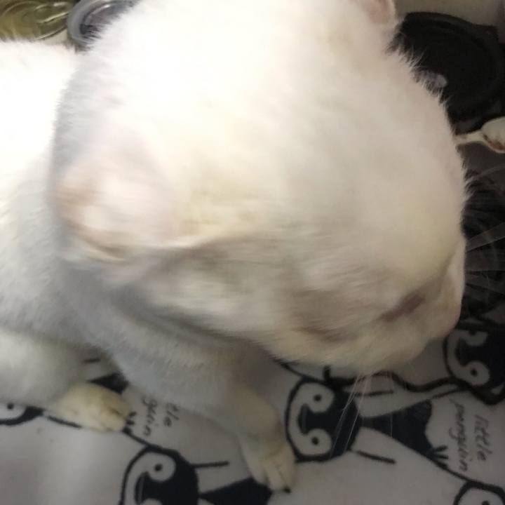 634ae19c 5b09 4a08 a931 3bfc209257e8 1562729717646