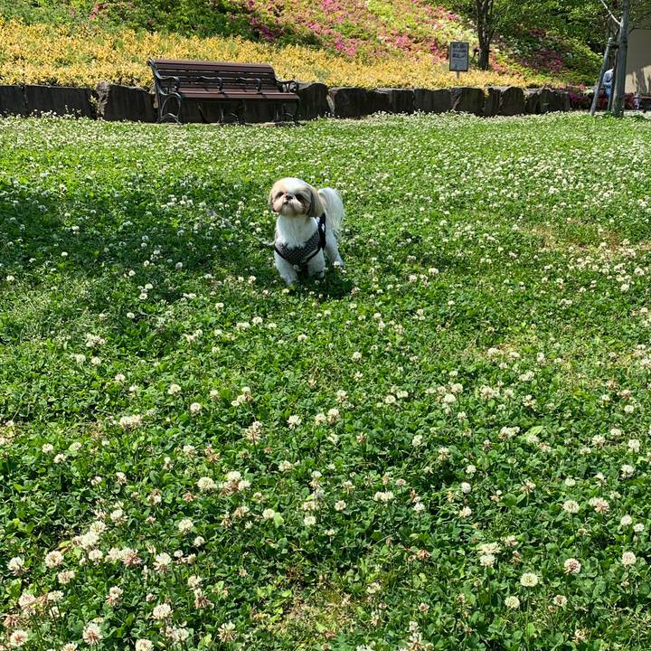 634ae92f 1ca3 4edf 8c87 2e5148d9450f 1588131223423