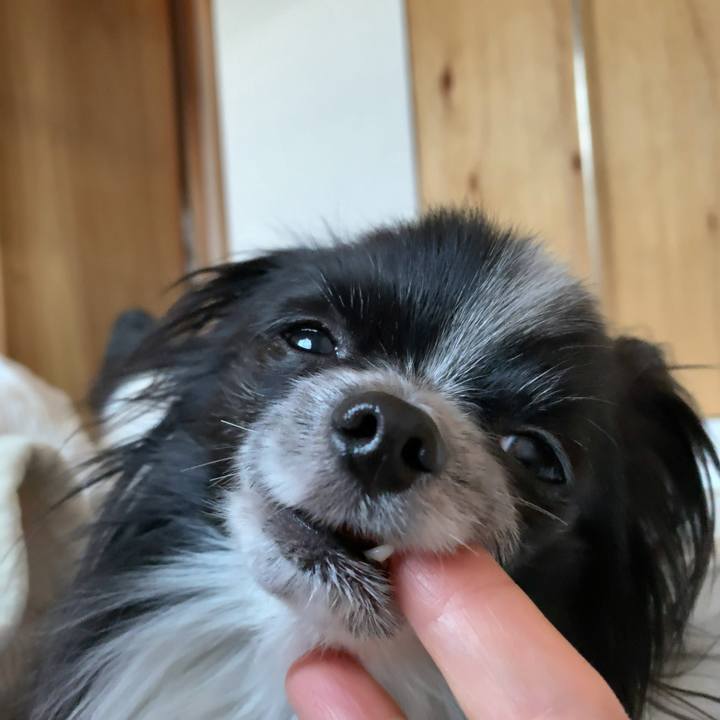 634aed4a 8596 463d 8719 2e16342a55e3 1552346214538