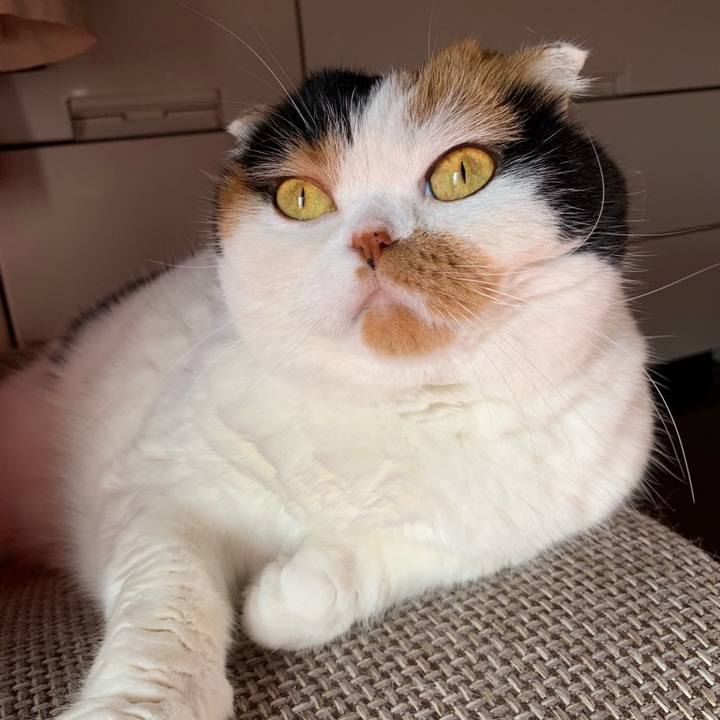 634aef0f 9f23 4f57 ae2a 2db2b96059a0 1568385117714