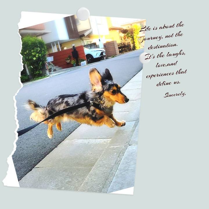 634b141d 589a 4e8c 830b 9a02f4a51612 1753959597291