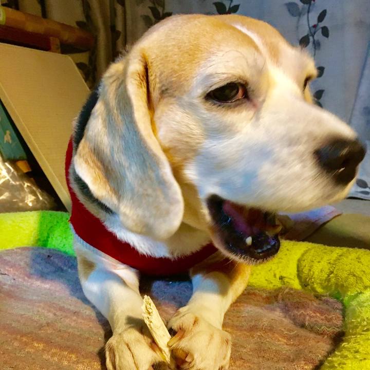 634b2074 be07 405e 9b67 40164ac250d3 1547301802134