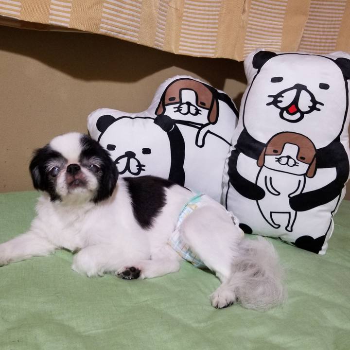 634b4bad 5cb1 4f77 a642 101ee2be1e67 1595073462033