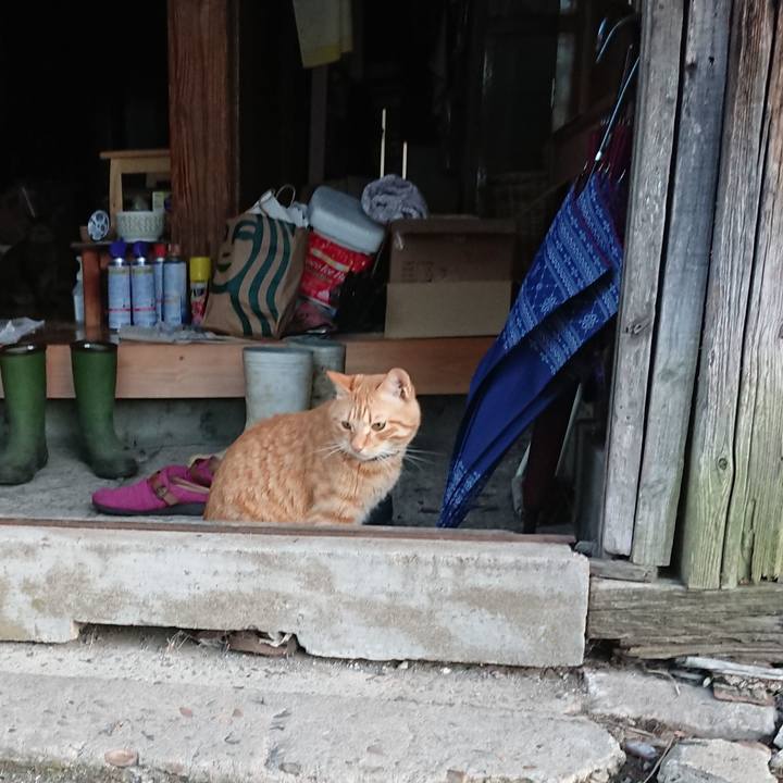 634b4c48 ebfd 4135 9506 873988a3a687 1662419904432