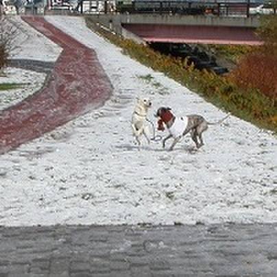 634b6dbb 5af1 4228 9955 4243863e62c2 1516020355192