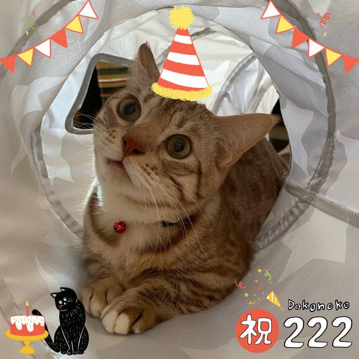 634b9ba1 3ff6 4c0c 9133 cd788e25b70e 1645497038570