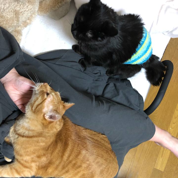 634baedb 5c54 407c b238 1caec5c77e84 1611924479481