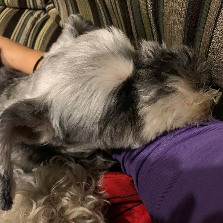 634bd9da ac07 4d05 be57 230b700cad44 1599213499717