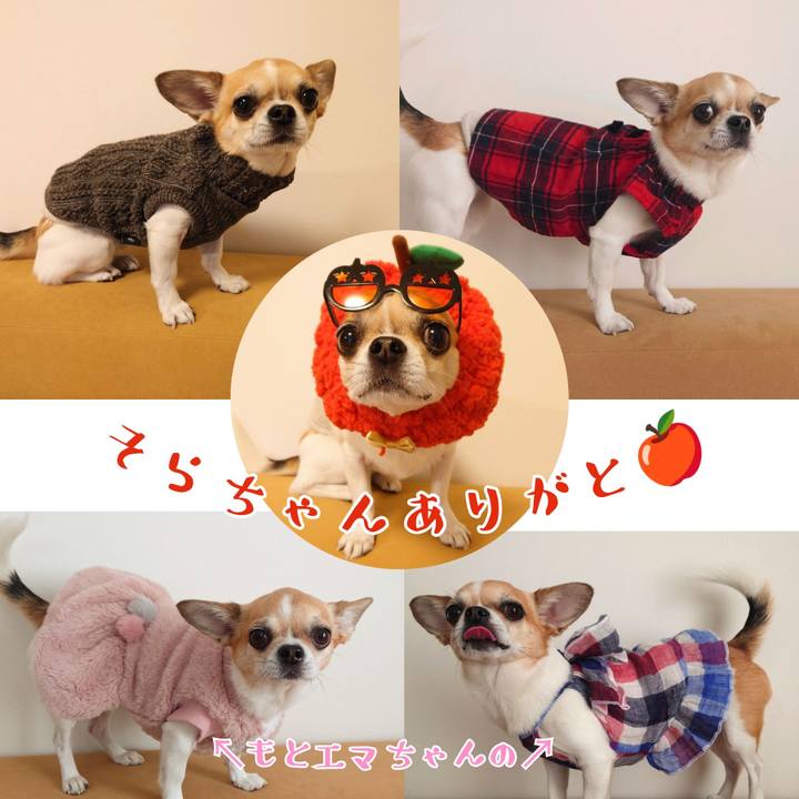 634bde6a 763d 477c 99a6 2db2236ccb71 1707726559796