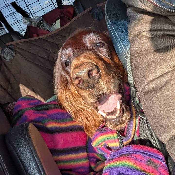 634c00b2 42ad 4191 8e9a de0050dcc271 1766192645149