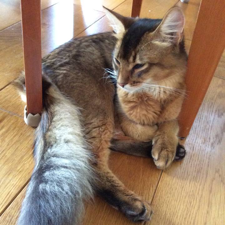 634c57e0 433d 44cc 9d51 b9ff7b11e870 1565561879011