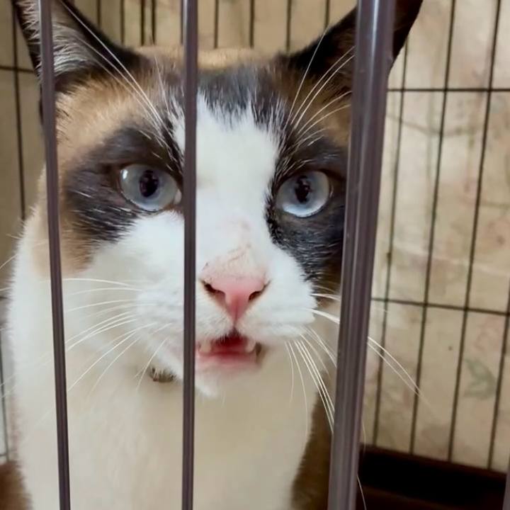 634caa8c ffa2 4200 abf4 49e43d12bb0f 1750238902097