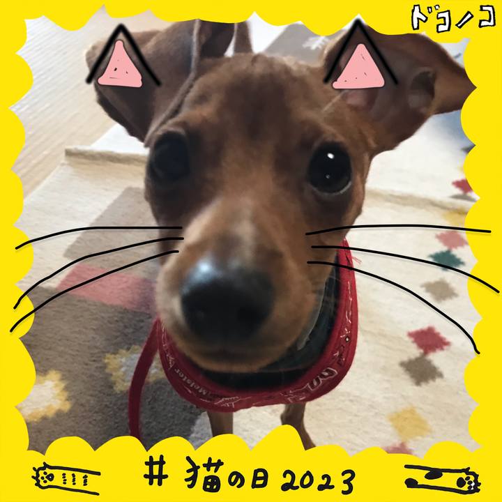 634cb754 1ba2 43de 8130 44b787efc079 1677056730056