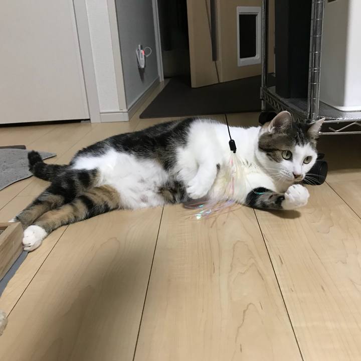 634cc9ed e05e 4086 ba64 e9785c05c6ae 1512785670148